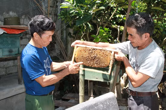 Vốn nhỏ, hiệu quả lớn ảnh 3