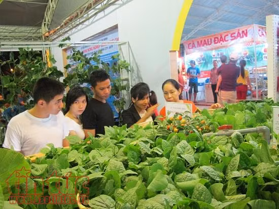 Doanh nghiệp bắt đầu đưa hàng Tết 'sạch', bình ổn giá đến tận khu dân cư ảnh 2
