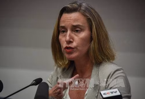 EU ủng hộ Đông Jerusalem là thủ đô của Palestine ảnh 1