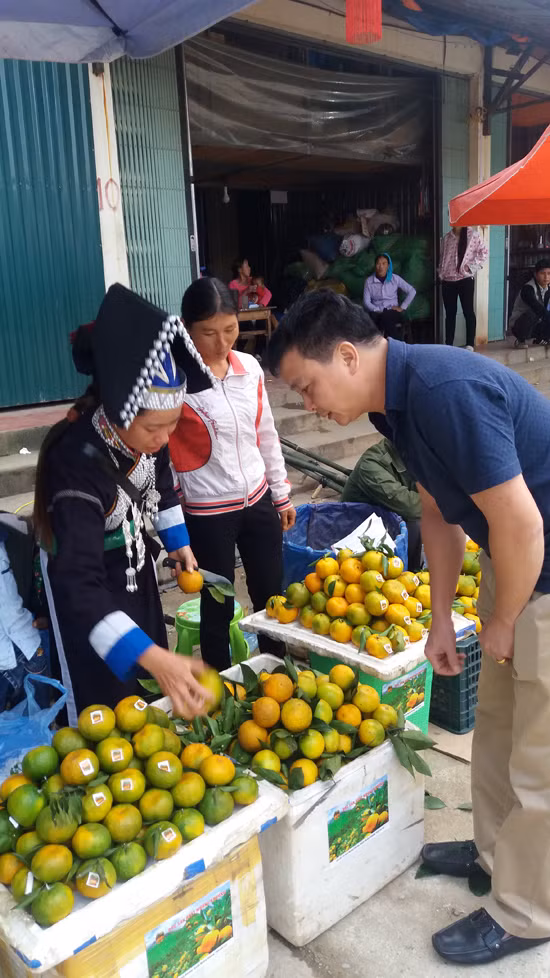 Quýt ngọt trên vùng đất cằn đã có 'tên' ảnh 3