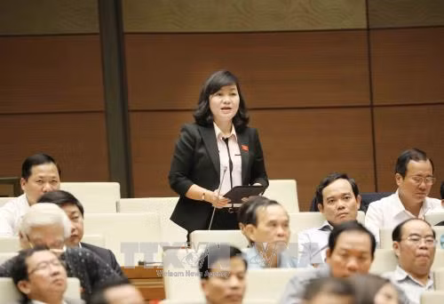 Đại biểu Quốc hội: Chiếm đoạt bảo hiểm xã hội phải được xét xử chứ không chỉ là khởi kiện ảnh 1