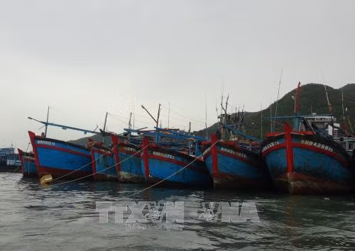 Ngư dân Khánh Hòa, Bình Thuận khẩn trương di dời tàu thuyền tránh trú bão số 14 ảnh 1