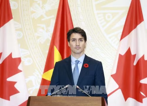 Thủ tướng Canada dự các hoạt động Tuần lễ Cấp cao APEC 2017 tại Đà Nẵng ảnh 1