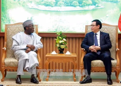 Khuyến khích hợp tác công nghệ thông tin, nông nghiệp với Nigeria ảnh 1