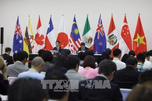 APEC 2017: Các nước tham gia CPTPP có thể tạm hoãn hạn chế một số nghĩa vụ ảnh 1