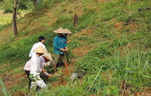 Cộng đồng bảo vệ và phát triển rừng ảnh 1