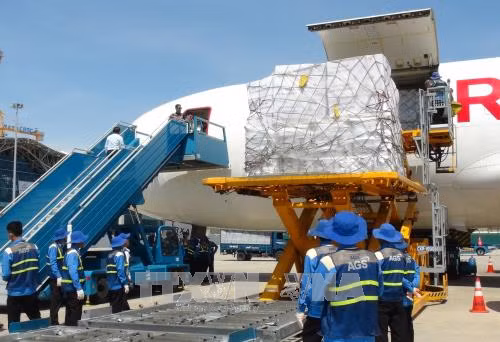 Tiếp nhận hàng của ASEAN cứu trợ người dân bị ảnh hưởng bão số 12 ảnh 2