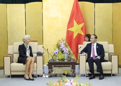  APEC 2017: Chủ tịch nước Trần Đại Quang tiếp Tổng Giám đốc IMF ảnh 1