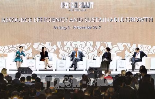 Tầm nhìn APEC sau năm 2020 - Thúc đẩy sử dụng hiệu quả các nguồn lực và công nghệ ảnh 3