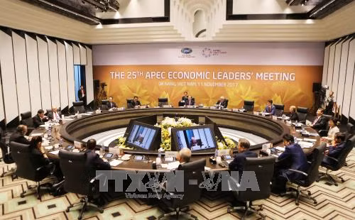 APEC 2017: Nâng tầm hợp tác APEC, nâng tầm vị thế Việt Nam ảnh 3