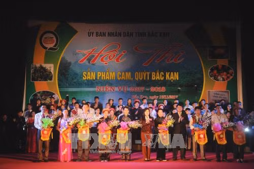 Lần đầu tiên Bắc Kạn tổ chức hội thi cam, quýt ảnh 2