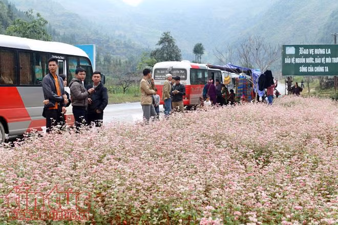 Cuối năm đi du lịch kết hợp săn hàng giảm giá, ngắm hoa ảnh 1