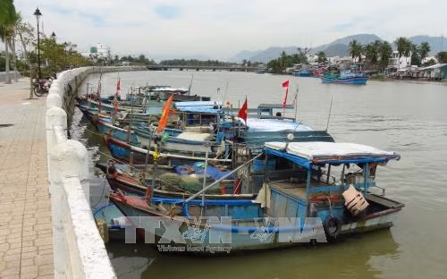 Triển khai Công điện của Thủ tướng Chính phủ ứng phó với bão số 14 ảnh 1