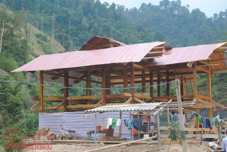 Thông tin phá rừng phòng hộ đầu nguồn ở Lào Cai chưa chính xác ảnh 3
