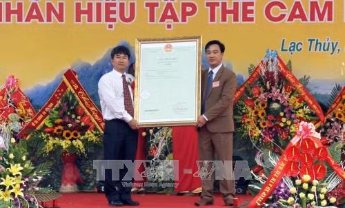 Đón nhận văn bằng bảo hộ nhãn hiệu tập thể 'Cam Lạc Thủy' ảnh 1