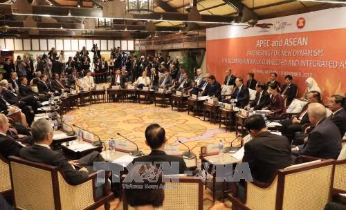 Chủ tịch nước chủ trì Đối thoại cấp cao không chính thức APEC - ASEAN ảnh 2