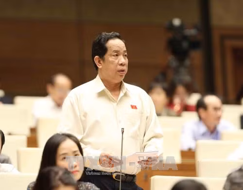 Đầu tư cho TP Hồ Chí Minh để kéo cả vùng phát triển ảnh 1