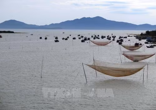 Quảng Nam nạo vét tuyến luồng đường thủy Cửa Đại bị bồi lấp ảnh 1
