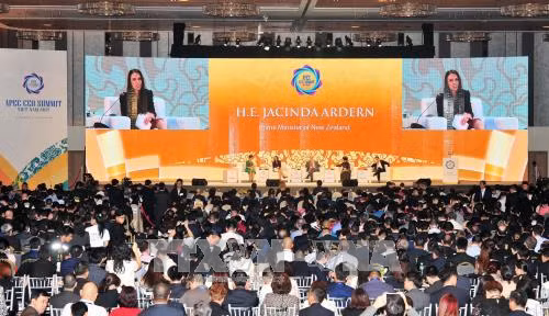 Tầm nhìn APEC sau năm 2020 - Thúc đẩy sử dụng hiệu quả các nguồn lực và công nghệ ảnh 1