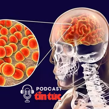 Bác sĩ ơi: Bệnh viêm não do mô cầu nguy hiểm thế nào với trẻ em?