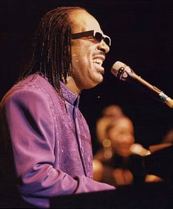 Chú mèo mù mê chơi piano ảnh 2