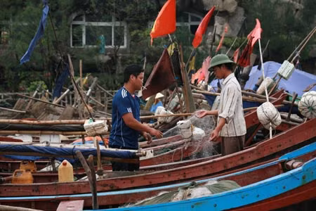 Truy tìm tàu lạ đâm chìm tàu cá ở biển Hà Tĩnh ảnh 1