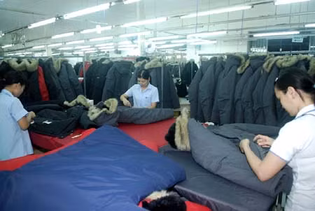 TP. Hồ Chí Minh Kiên quyết mục tiêu tăng trưởng 10% ảnh 1