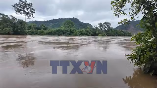 Tân Quang không để lũ về mới ứng phó