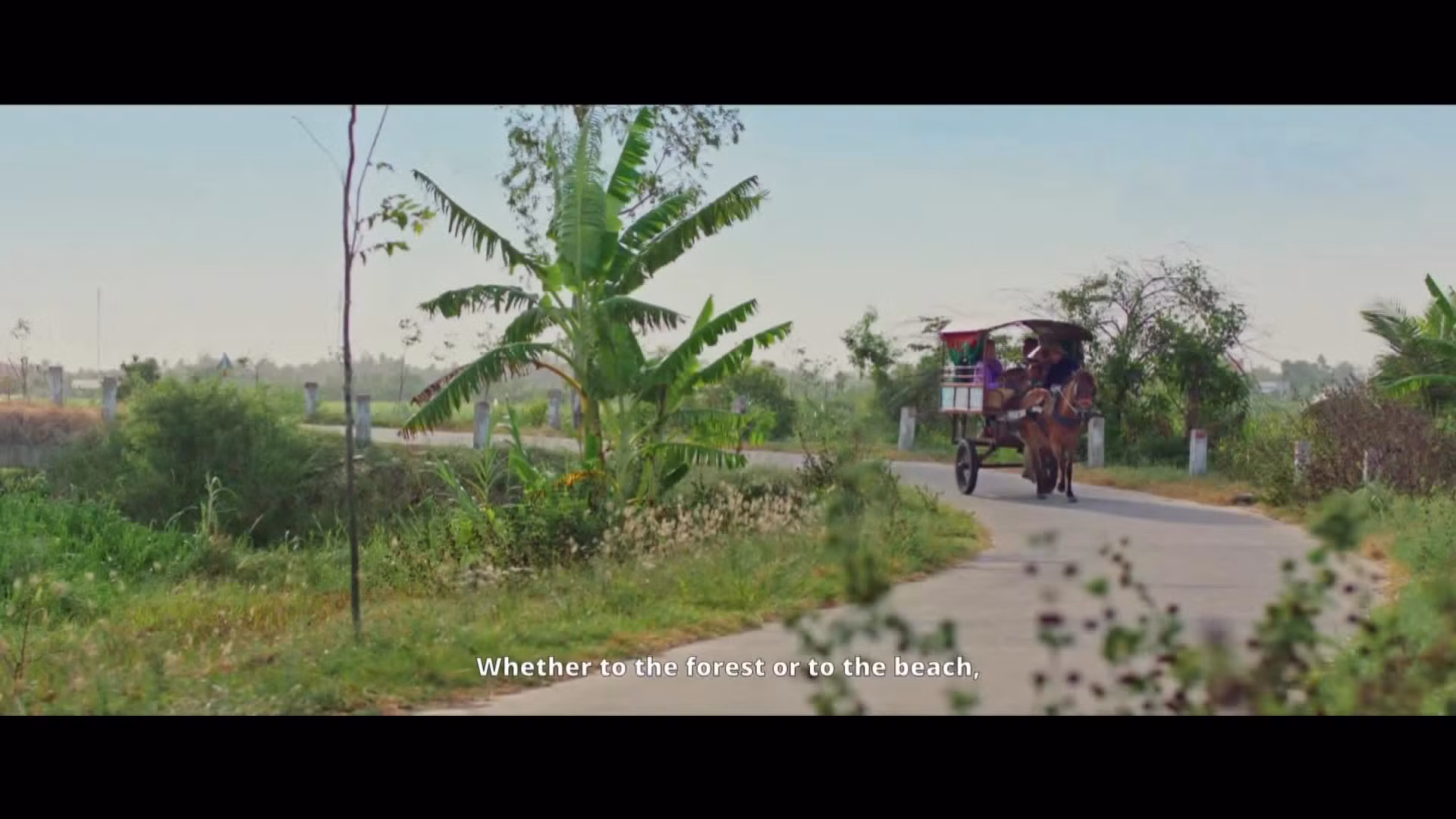 Khi phim ngân sách nhà nước phải thông qua đấu thầu