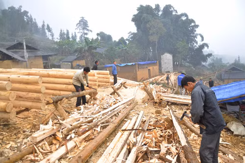 Mùa xây nhà trình tường ảnh 3