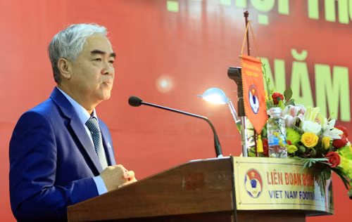 Đại hội Thường niên Liên đoàn bóng đá Việt Nam 2013 ảnh 1