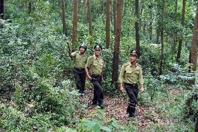 Đắk Lắk khẩn trương phòng, chống cháy rừng ảnh 1