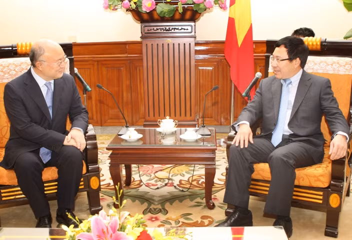 Phó Thủ tướng Phạm Bình Minh tiếp Tổng Giám đốc IAEA ảnh 1