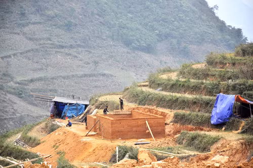 Mùa xây nhà trình tường ảnh 4