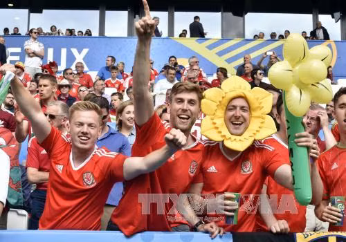 Sắc màu cổ động viên EURO 2016 ảnh 5