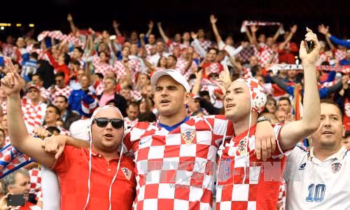Sắc màu cổ động viên EURO 2016 ảnh 8