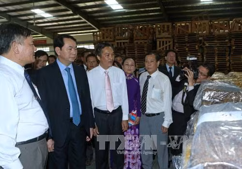 Chủ tịch nước gặp gỡ cộng đồng người Việt tại Champasak ảnh 1