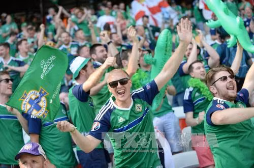 Sắc màu cổ động viên EURO 2016 ảnh 9