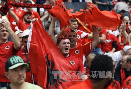 Sắc màu cổ động viên EURO 2016 ảnh 4