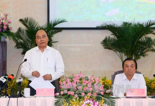 Nhân rộng mô hình tái cơ cấu nông nghiệp ở Đồng Tháp ảnh 1