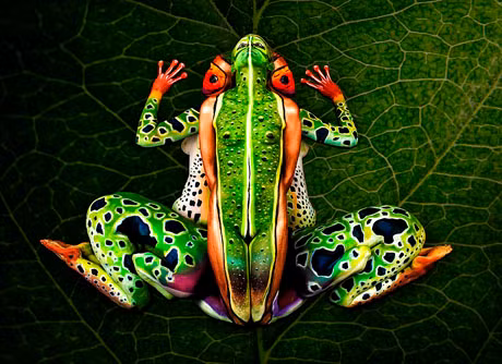 Body painting "phù phép" người mẫu thành động vật ảnh 2