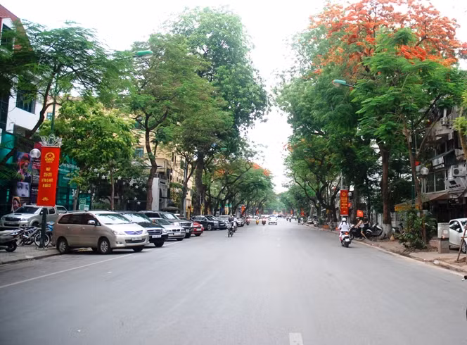 Cử tri tập trung đi bầu cử, đường phố Hà Nội yên tĩnh ảnh 8