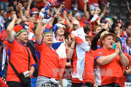 Sắc màu cổ động viên EURO 2016 ảnh 14
