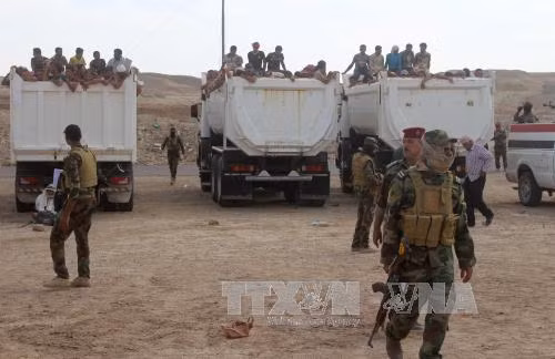 Iraq bắt hơn 500 tên IS lẩn trốn khỏi Fallujah ảnh 1