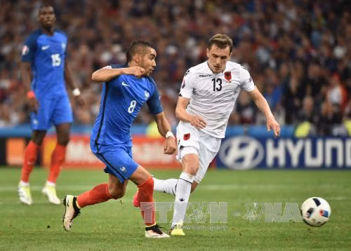 Niềm hy vọng số 1 của "Les Bleus" tại EURO 2016 ảnh 2