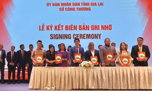 Kết nối giao thương xuất khẩu nông sản sang Nhật Bản và ASEAN