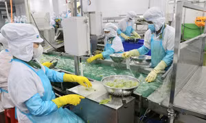 Đẩy mạnh chế biến sâu, nâng cao giá trị nông sản đặc thù