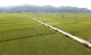 Công nhận huyện Văn Yên và huyện Hậu Lộc đạt chuẩn nông thôn mới