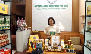 Gia tăng giá trị và thương hiệu sản phẩm OCOP