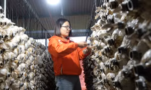 Các "nữ tướng" đưa nông sản "xuất ngoại"